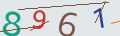 verifycode